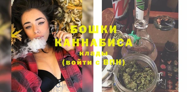 мдпв Надым